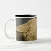 Leeuwen 2 tweekleurige koffiemok (Links)