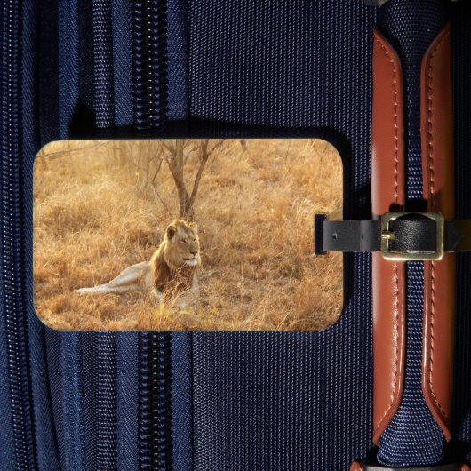 Leeuwen Bagage Label (Voorkant Insitu 4)