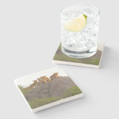 Leeuwen bekijken de scène vanaf daar Rock Perch Stenen Onderzetter (Zijkant)