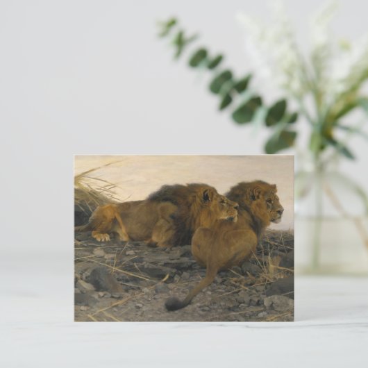 Leeuwen bij Watch door Wilhelm Kuhnert Briefkaart (Staand voorkant)