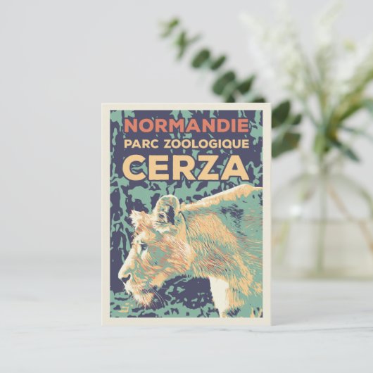 Leeuwen, Cerza Zoological Park in Normandië Frankr Briefkaart (Staand voorkant)