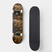 Leeuwen’ Den skateboard (Voorkant)