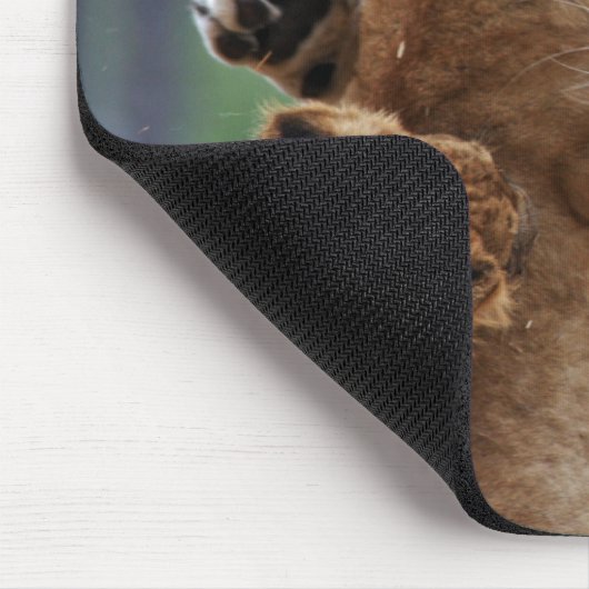 Leeuwen en 3 Cubs Mousepad Muismat (Hoek)