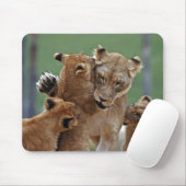 Leeuwen en 3 Cubs Mousepad Muismat (Met muis)