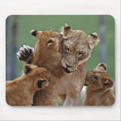 Leeuwen en 3 Cubs Mousepad Muismat (Voorkant)