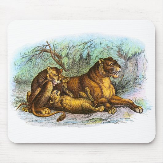  leeuwen en Cubs Illustratie Mousepad Muismat (Voorkant)