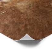 Leeuwen en haar kubussen poster (Hoek)