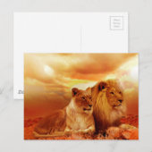 Leeuwen en leeuwen briefkaart (Voorkant / Achterkant)