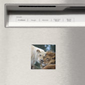 Leeuwen en leeuwen magneet (Insitu (Vaatwasser))