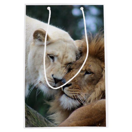 Leeuwen en leeuwen medium cadeauzakje (Voorkant)