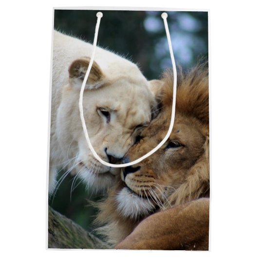 Leeuwen en leeuwen medium cadeauzakje (Achterkant)