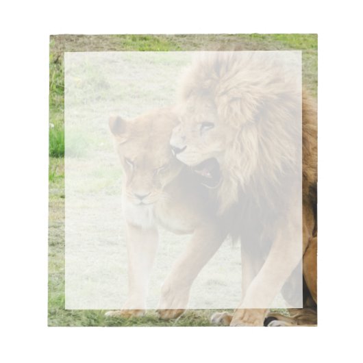 Leeuwen en leeuwen notitieblok (Voorkant)