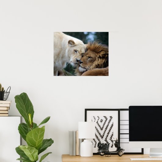 Leeuwen en leeuwen poster (Thuiskantoor)