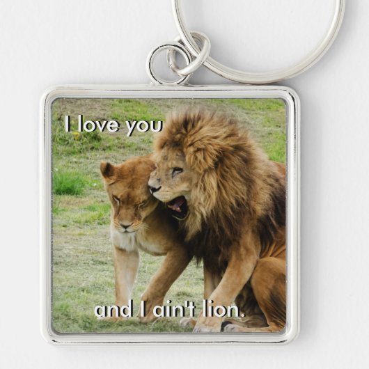 Leeuwen en leeuwen sleutelhanger (Voorkant)