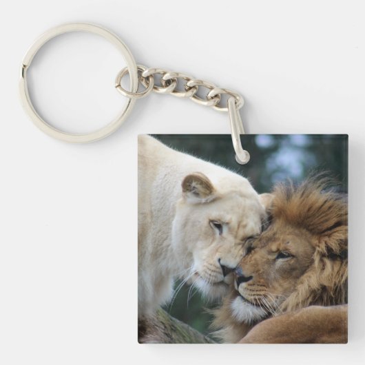 Leeuwen en leeuwen sleutelhanger (Voorkant)