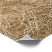 Leeuwen en leeuwen uit Afrika Poster (Hoek)