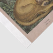 Leeuwen en tijgers Ephemera Decoupage Tissuepapier (Detail)