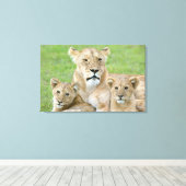 Leeuwen en twee Cubs, Oost-Afrika, Tanzania, Canvas Afdruk (Insitu (Houten vloer))