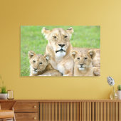 Leeuwen en twee Cubs, Oost-Afrika, Tanzania, Canvas Afdruk (Insitu (Woonkamer))
