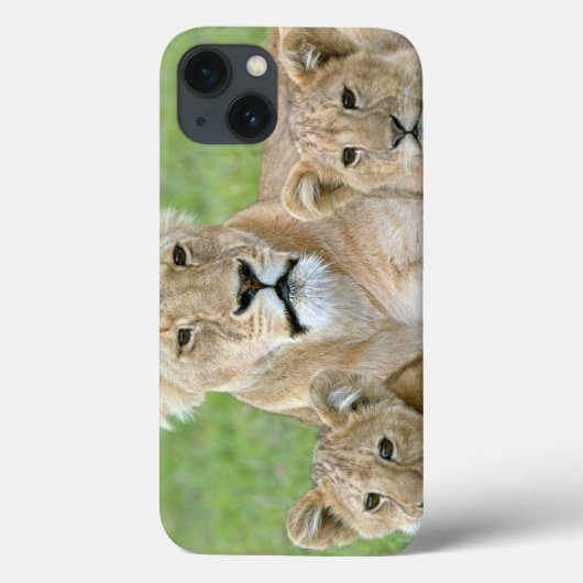 Leeuwen en twee Cubs, Oost-Afrika, Tanzania, Case-Mate iPhone Case (Achterkant)