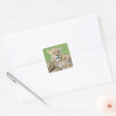 Leeuwen en twee Cubs, Oost-Afrika, Tanzania, Vierkante Sticker (Envelop)