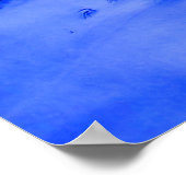 Leeuwen in de winter poster (Hoek)