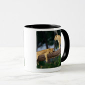 Leeuwen in een boom mok (Voorkant rechts)