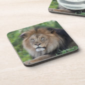 Leeuwen in een bos bier onderzetter (Linkerzijde)
