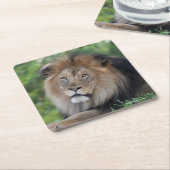 Leeuwen in een bos kartonnen onderzetters (Schuin)