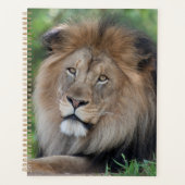 Leeuwen in een bos planner (Voorkant)