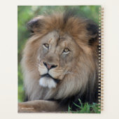 Leeuwen in een bos planner (Achterkant)