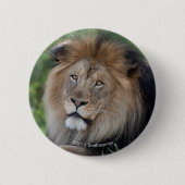 Leeuwen in een bos ronde button 5,7 cm (Voorkant)