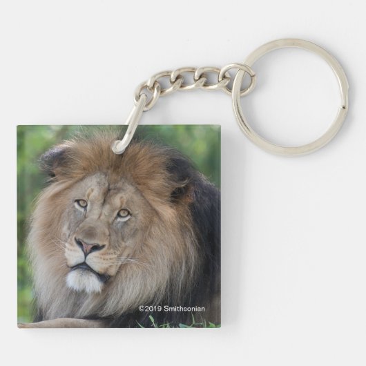 Leeuwen in een bos sleutelhanger (Achterkant)