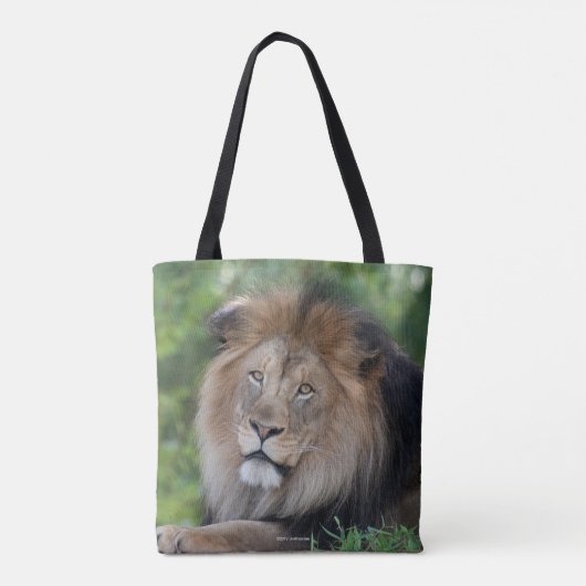 Leeuwen in een bos tote bag (Achterkant)
