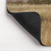 Leeuwen in een gewoon Afrika Muismat (Hoek)