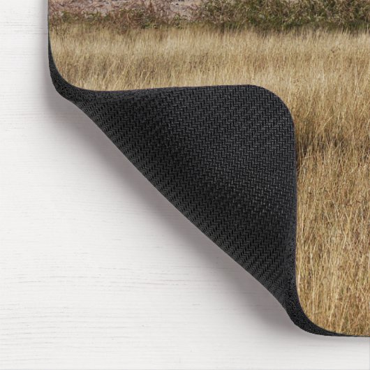 Leeuwen in een gewoon Afrika Muismat (Hoek)