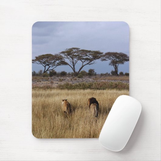 Leeuwen in een gewoon Afrika Muismat (Met muis)