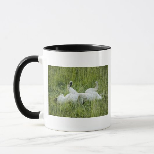 Leeuwen in het hoge gras, Afrika Mok (Links)