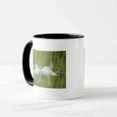 Leeuwen in het hoge gras, Afrika Mok (Voorkant links)