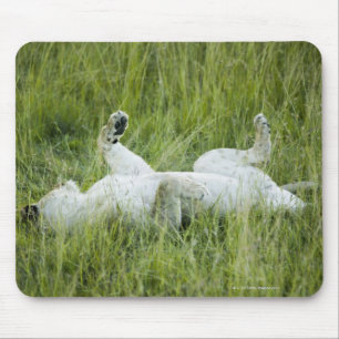 Leeuwen in het hoge gras, Afrika Muismat