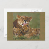 Leeuwen in het wild levende T - shirts Briefkaart (Voorkant / Achterkant)