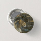 Leeuwen Knop Ronde Button 3,2 Cm (Voorkant /achterkant)