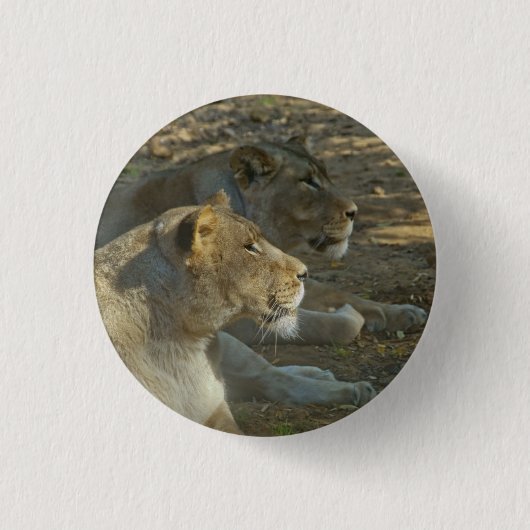 Leeuwen Knop Ronde Button 3,2 Cm (Voorkant)