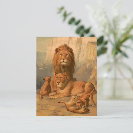 Leeuwen, leeuwen en kruiken briefkaart (Staand voorkant)