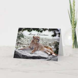 Leeuwen met kerstmis feestdagen kaart