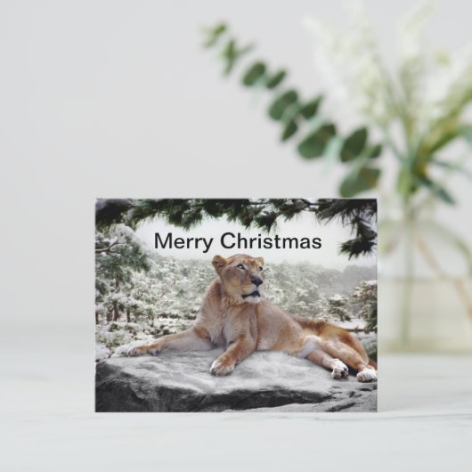 Leeuwen met kerstmis feestdagenkaart (Staand voorkant)