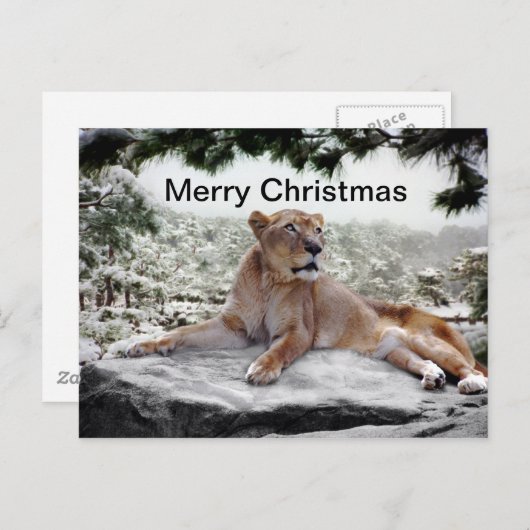 Leeuwen met kerstmis feestdagenkaart (Voorkant / Achterkant)