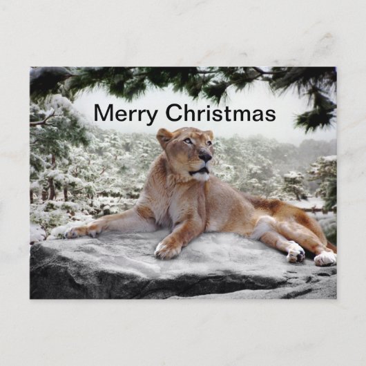Leeuwen met kerstmis feestdagenkaart (Voorkant)