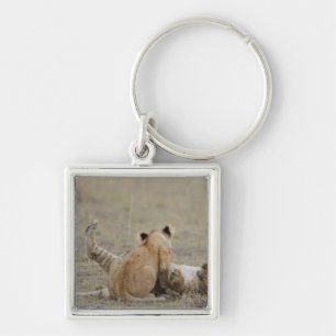 Leeuwen (Panthera leo) met gras, Masai Sleutelhanger