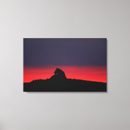 Leeuwen (Panthera leo), zonsondergang, Masai Canvas Afdruk